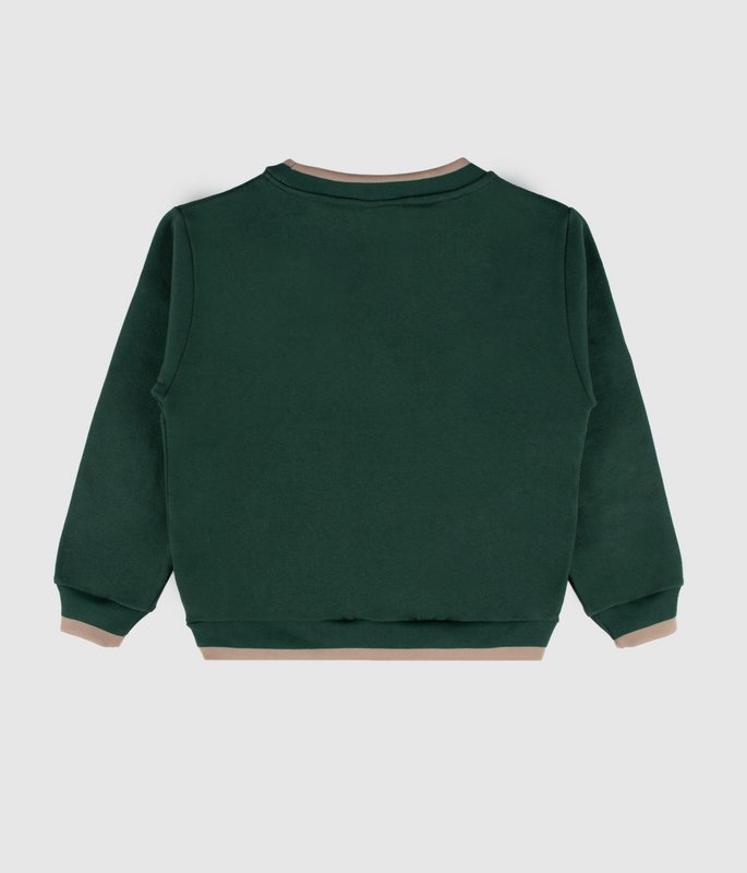 Sudadera de polar cepillado verde universitario