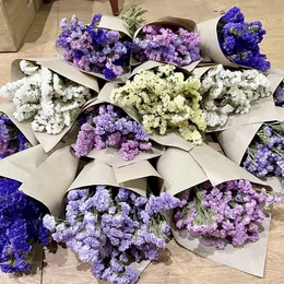 Bouquet of dried statice flowers
