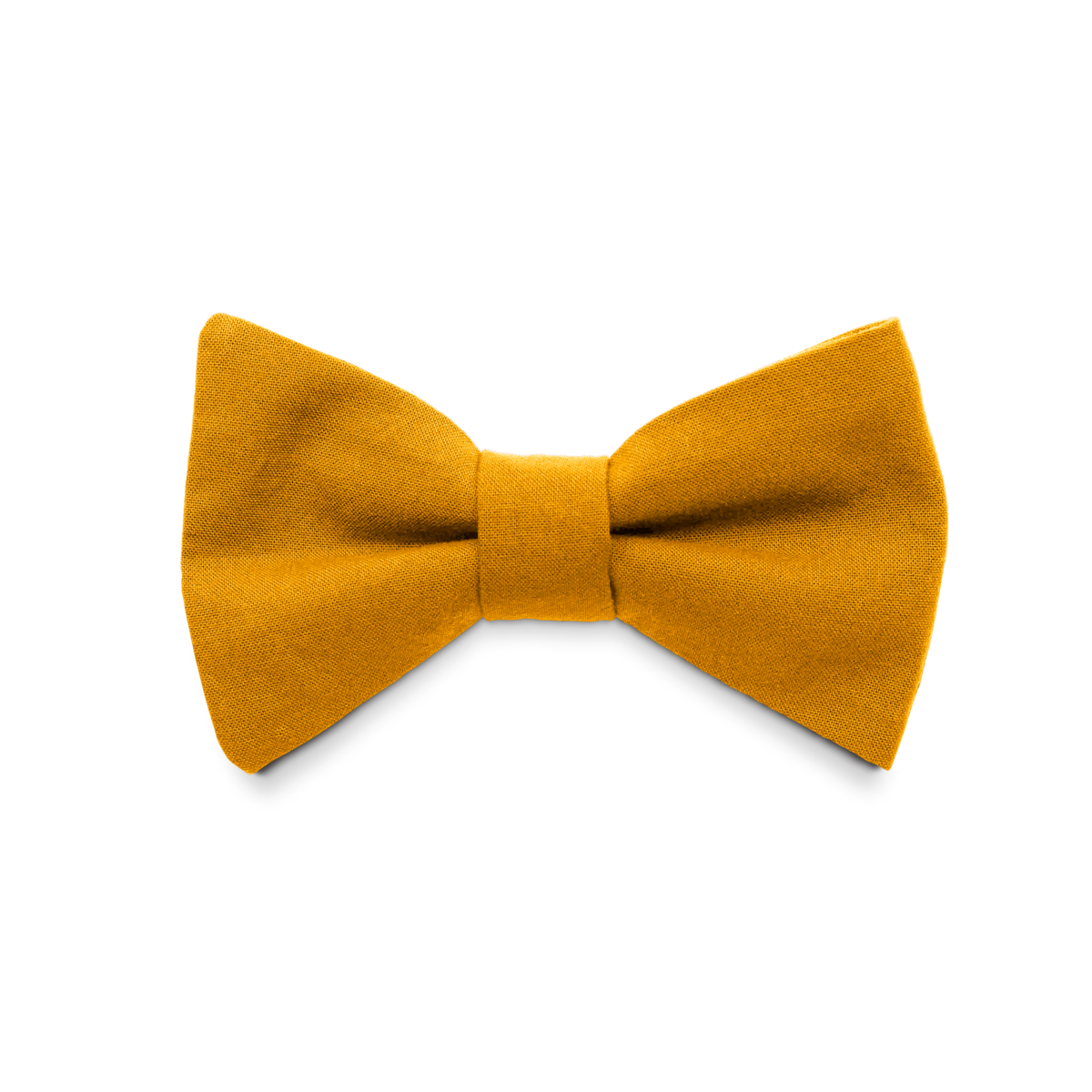 Bow tie Ocher yellow
