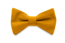 Ocher yellow bow tie, made of high-quality fabric, suitable for formal and casual occasions.