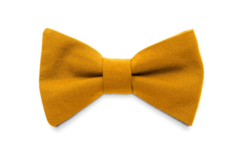 Bow tie Ocher yellow