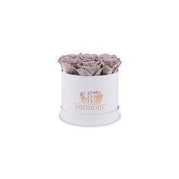 Preserved Flowers White Rose Box