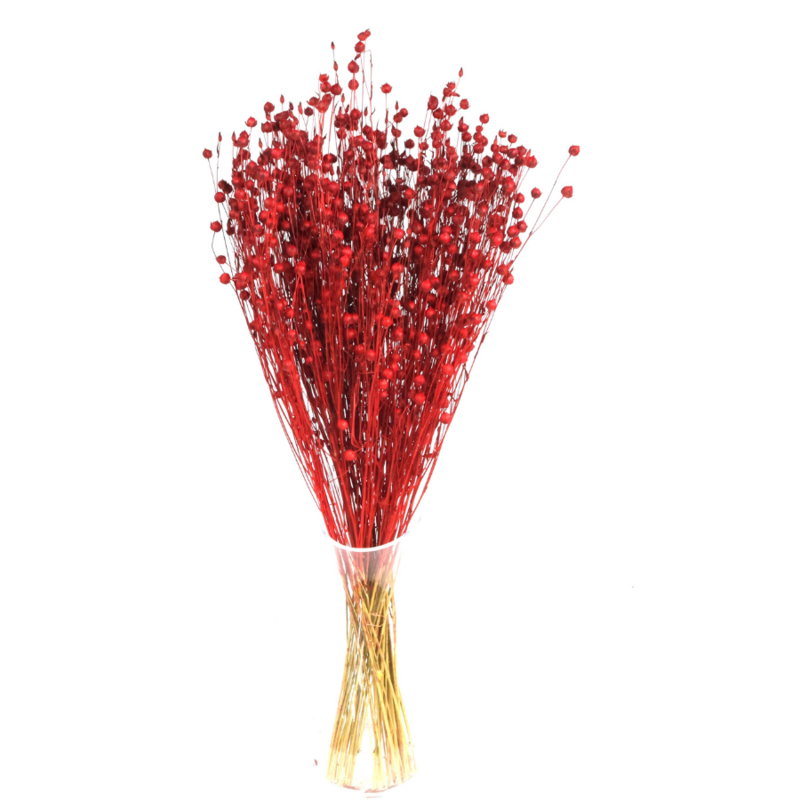 35 tallos Lino Seco Rojo