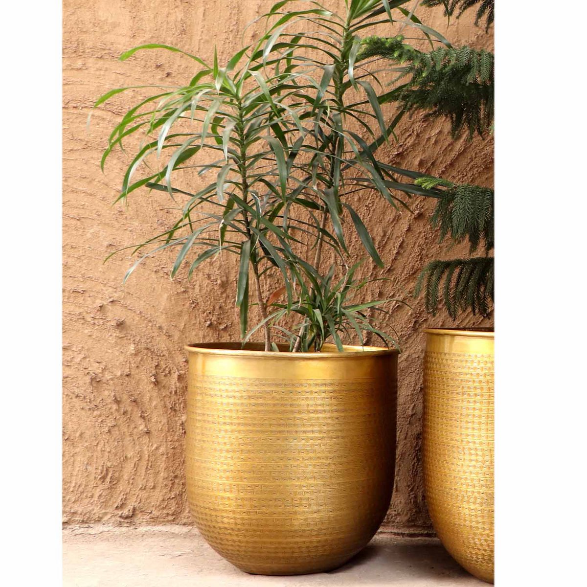 Oriental flower pot Barcelona