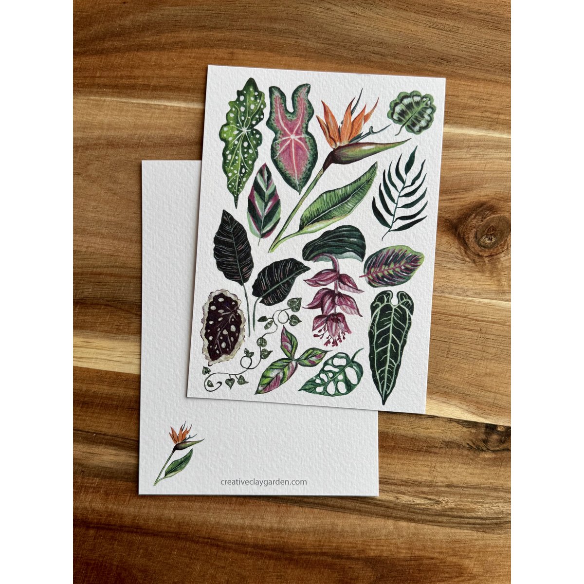Postcard 'Houseplants'