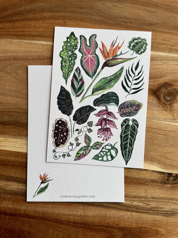 Postcard 'Houseplants'