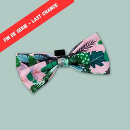 Cactus dog bow tie