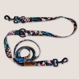 Savane multi-position leash