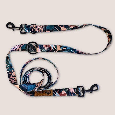 Savane multi-position leash