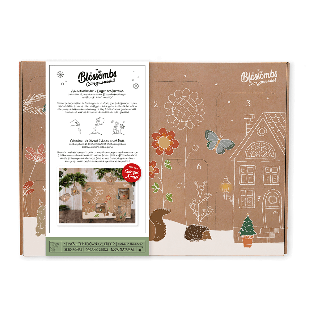 Advent Calendar Christmas - 7 Wild Flower Seeds