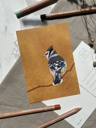 A postcard featuring a detailed illustration of a blue jay bird on a yellow background.