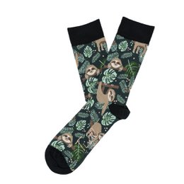 Animal - Sloth