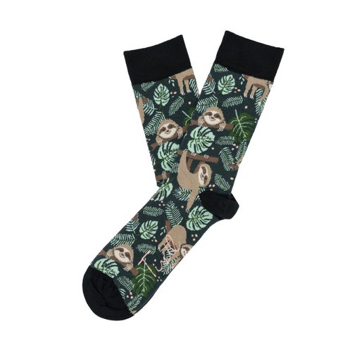 Animal - Sloth