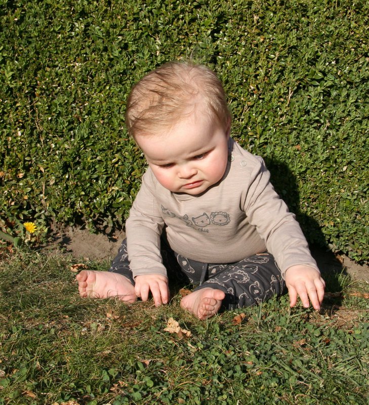 Little Chiq Baby Longsleeve beige animal print