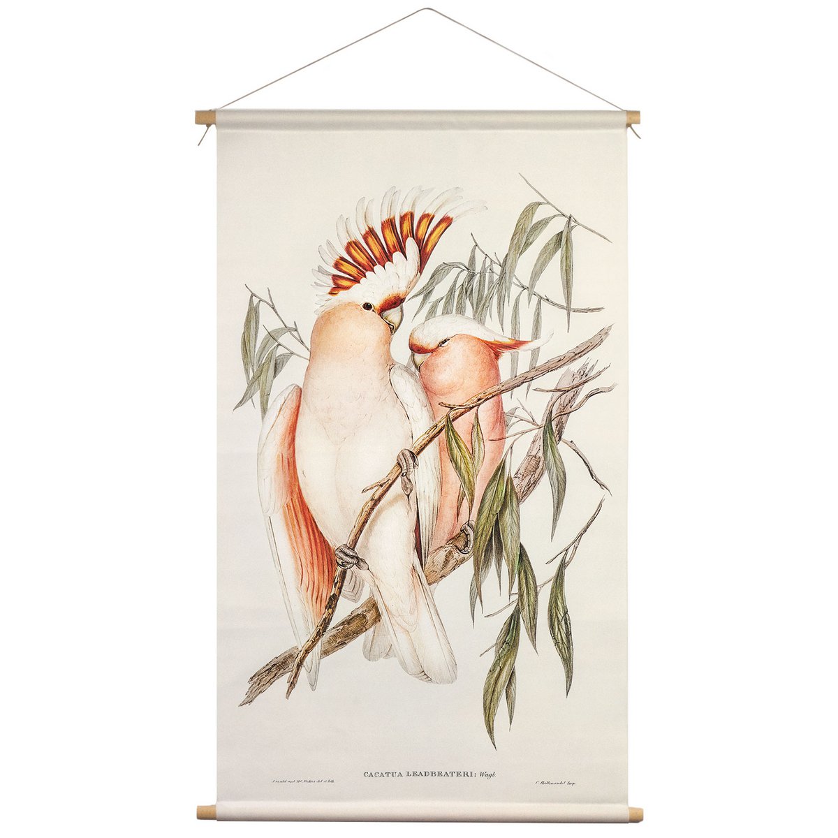 Póster textil con cordón de cuero - Ilustración cacatúa inka - tela de pared