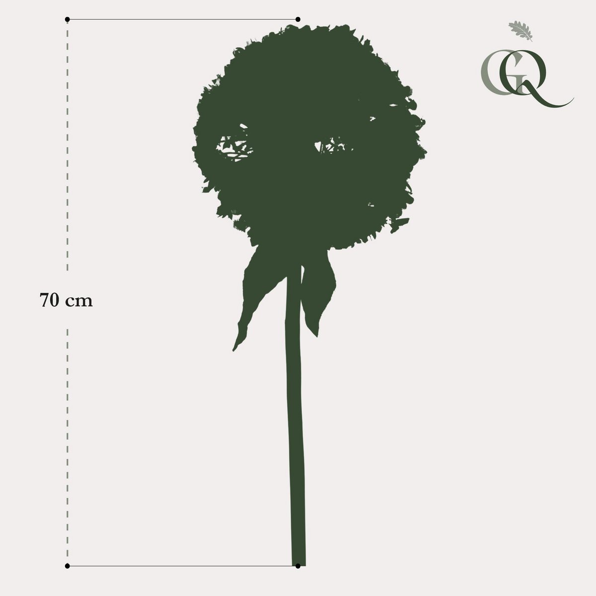 Kunstbloemen Solo - biały - kwiat czosnku - x 7 - 70 cm