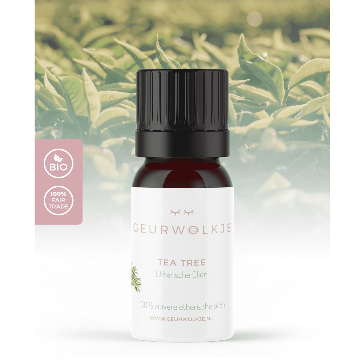 Tea Tree - 100% essential oil - 10 ml - suggested retail price € 8.95