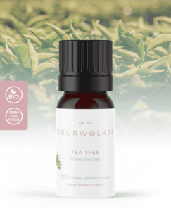 Teebaum - 100% ätherisches Öl - 10 ml - Vorgeschlagener Einzelhandelspreis 8,95 €