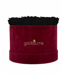 Velvet Bordeaux Collection