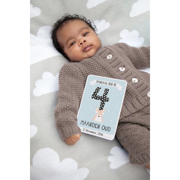 Milestone® Baby Photo Cards - Over the Moon (Franse versie)