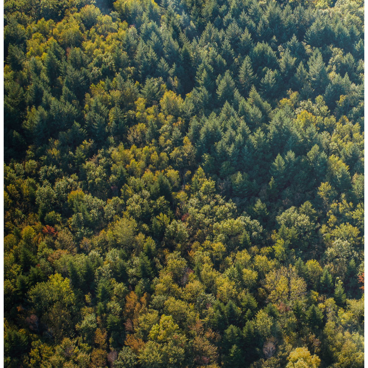 Poszewka na poduszkę - 45x45 cm - "Las Chablais" - Karadrone