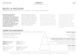 Duftstäbchen Mikado Diffusor | Feigenbaumduft | Bajo la Higuera | 250ml/8,45 fl.oz