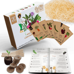Mes P'tits Légumes Apéro – Thematisches Gartenset – Kreativset – DIY – Weihnachtsgeschenk