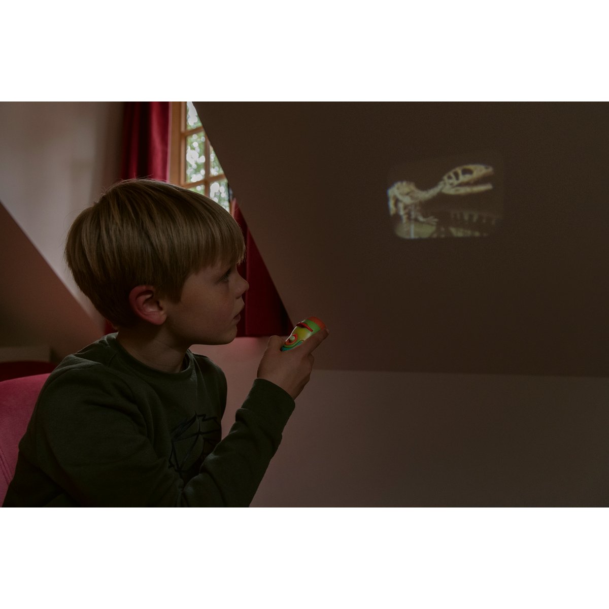 Projektionstaschenlampe - Dino