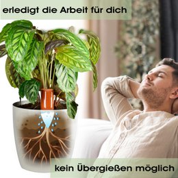 Terracota Bewässerungshilfe handgefertigt - 530 ml