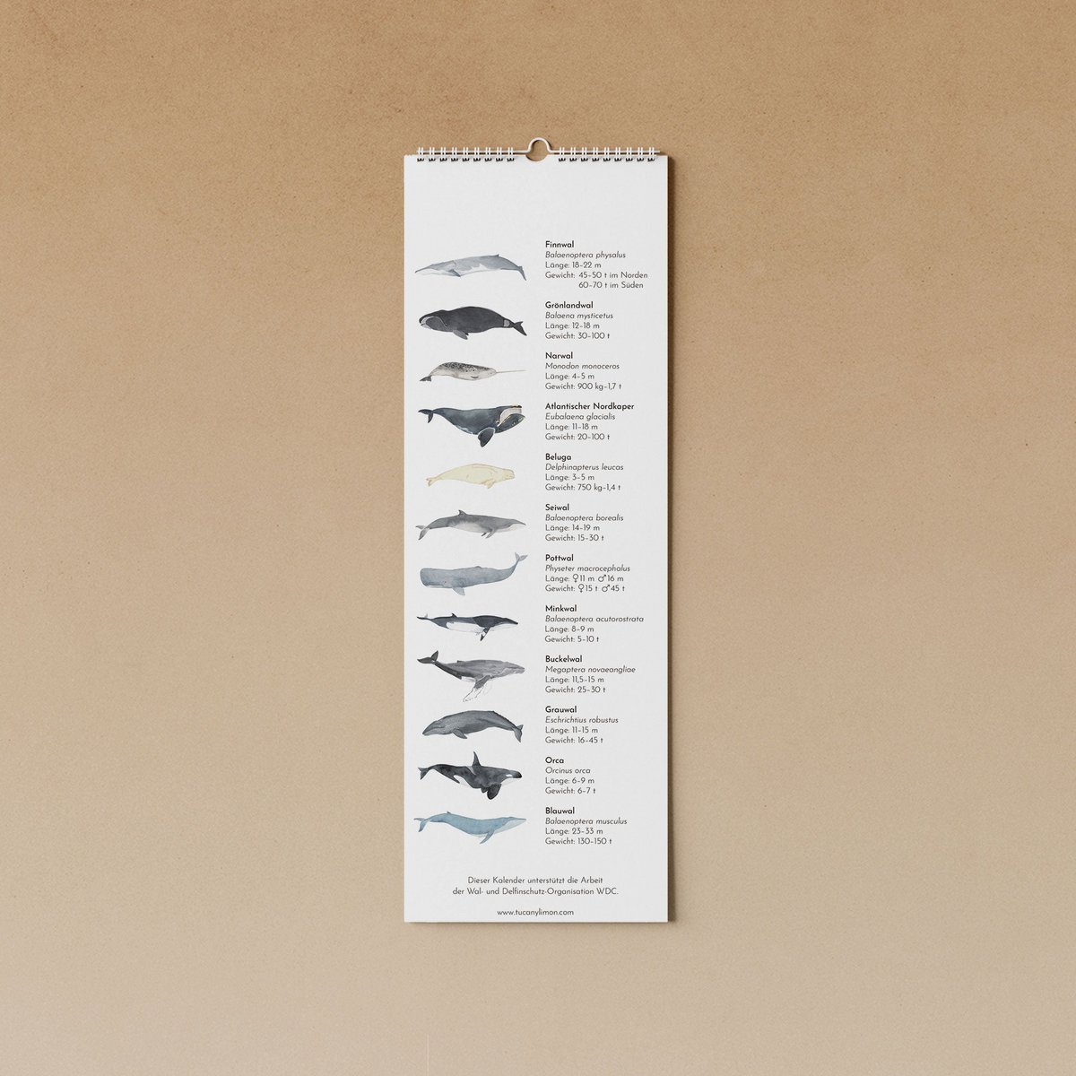 hvaler | evighedskalender