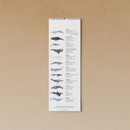 hvaler | evighedskalender