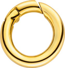 Glamour veerring 15mm van roestvrij staal goud gepolijst