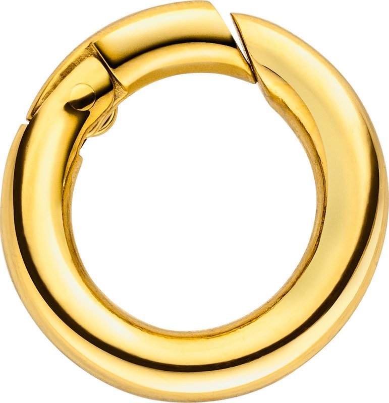 Glamour veerring 15mm van roestvrij staal goud gepolijst