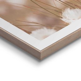 Gerahmtes Bild Slim Frame Cotton Pops 40x30