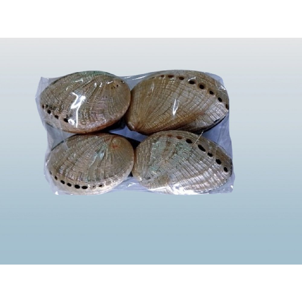 Ringbox Abalone Pillbox zęby