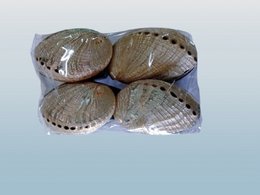 Ringbox Abalone Pillbox Denti Box