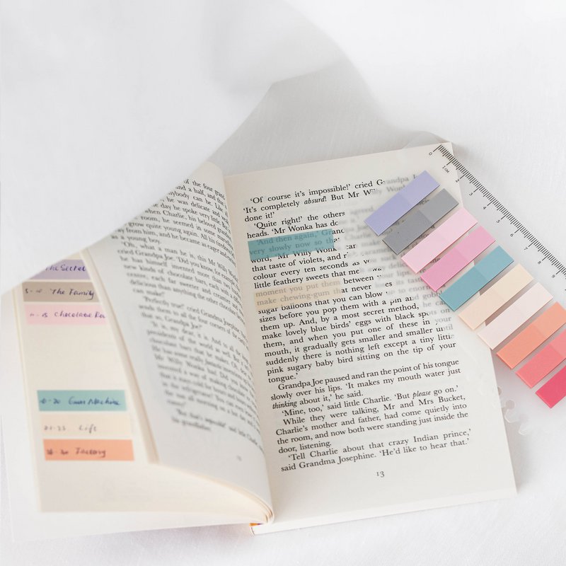 Carrousel | Ordinate Detention Notes Tabs | Juridische leestabs voor boeken Sticky | Prison Strips Index met liniaal voor zijmarkeringen