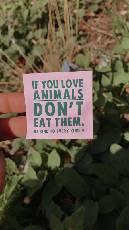 Small Vegan Indoor/Outdoor Stickers 'If You Don't Love Animals, Don't Eat Them'
