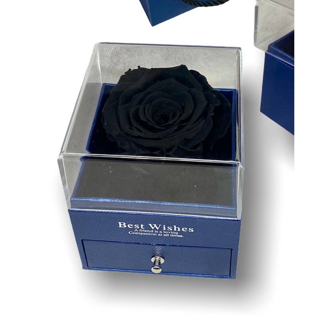 Schwarze Ewige Rose in Box Blaue Schmuckschatulle, offen
