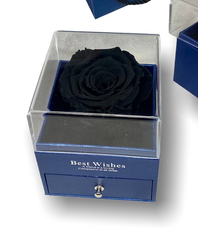 Schwarze Ewige Rose in Box Blaue Schmuckschatulle, offen