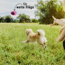 NE & NO® Dog Football-Floatable