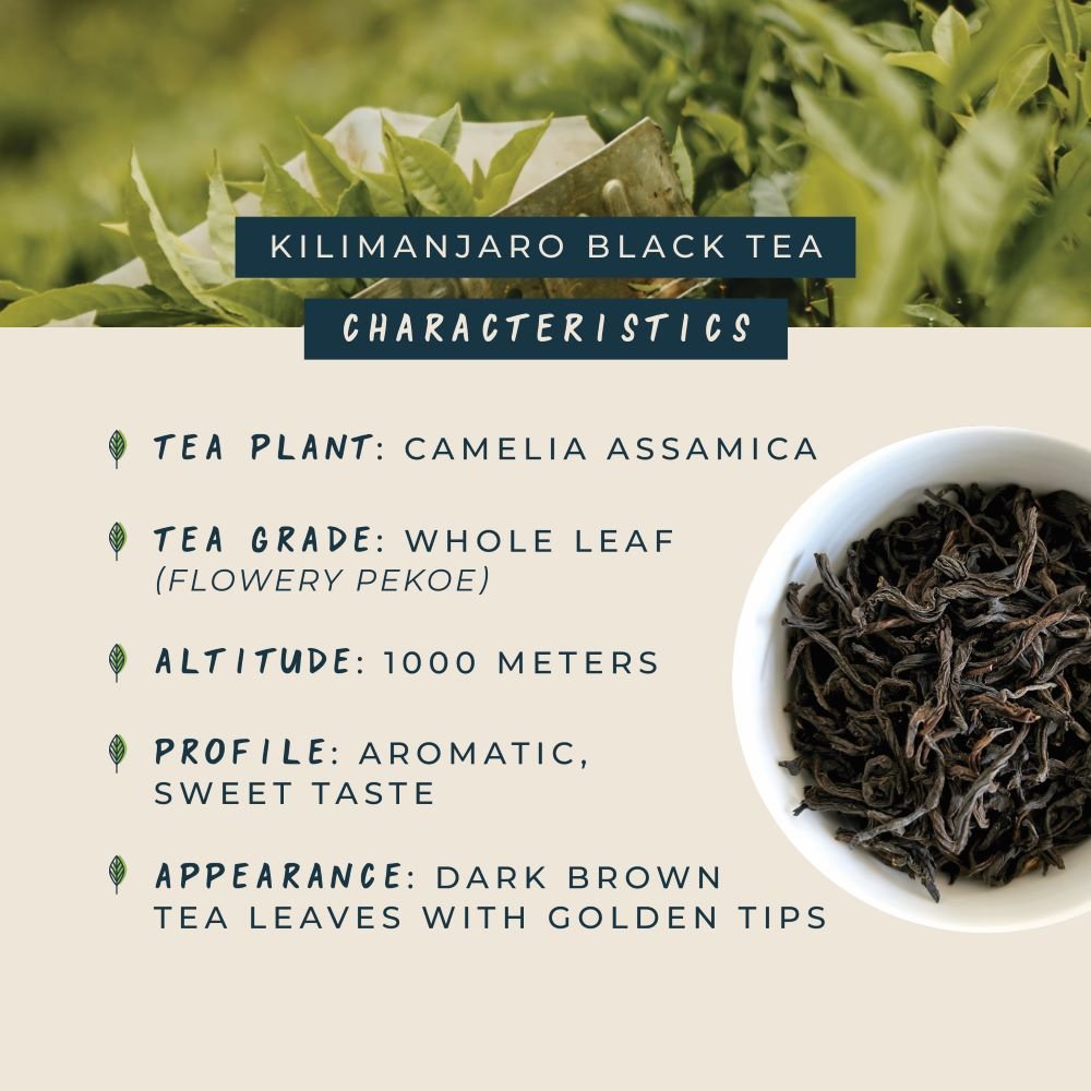 Kilimanjaro sort te