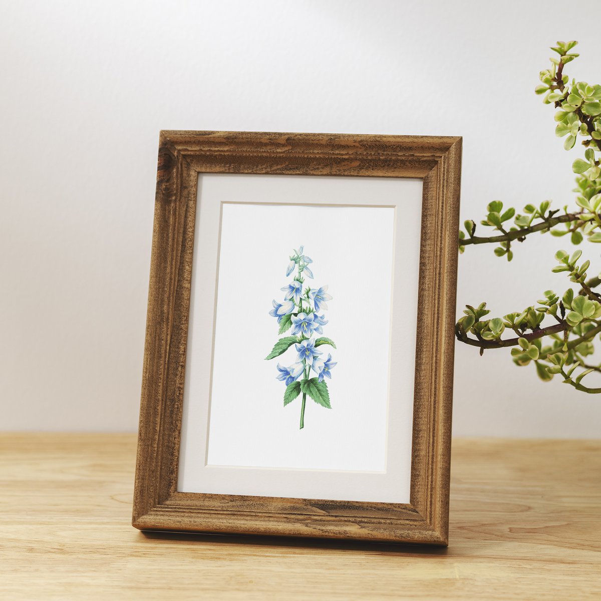 Botanische kunst print mix x16 | Vintage bloem illustratie | Kunst aan de muur