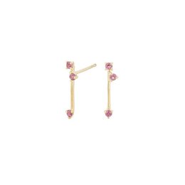 Pashupati earrings