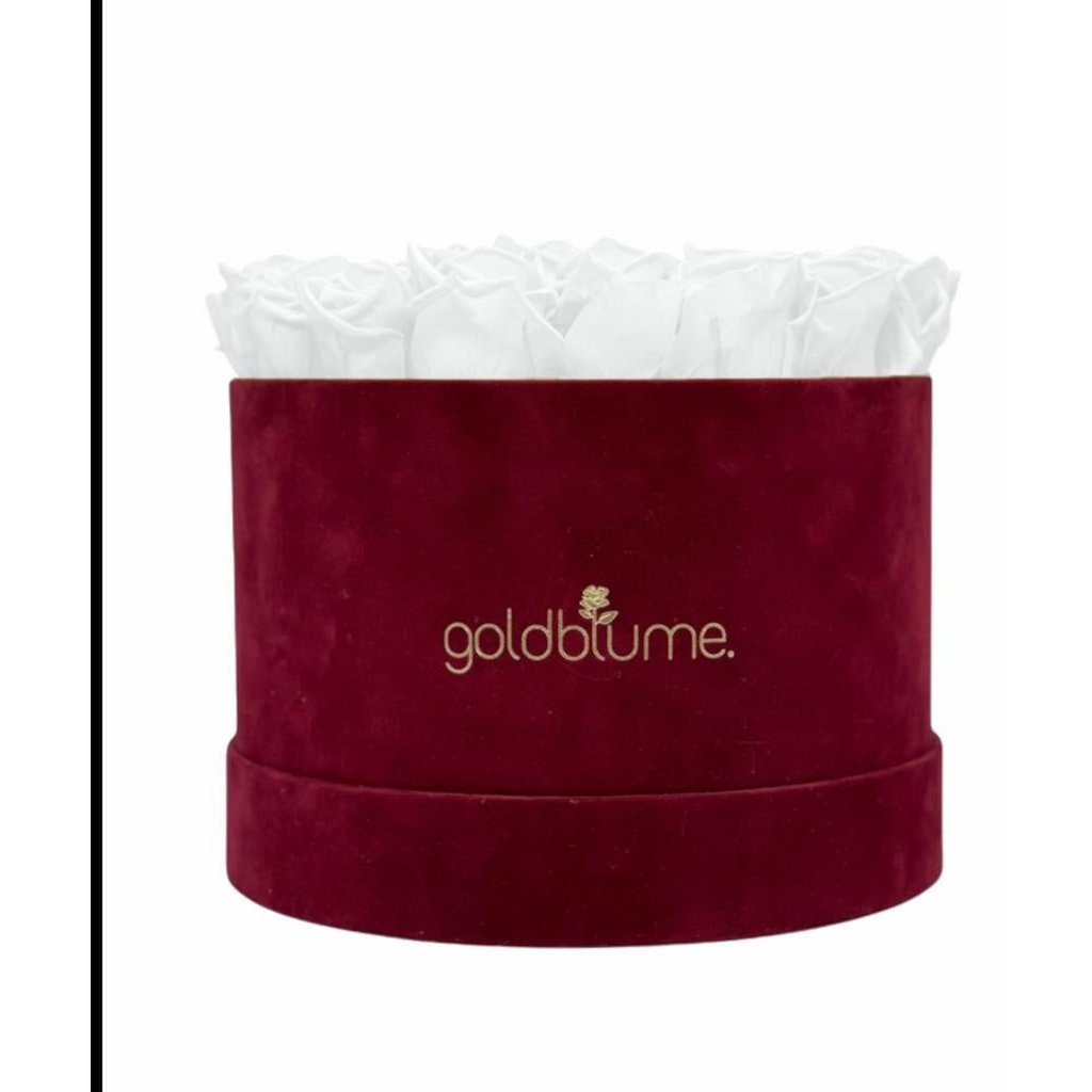 Collection Velours Bordeaux