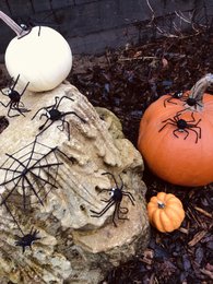 Handmade Felt Hanging Halloween Spider Decoration