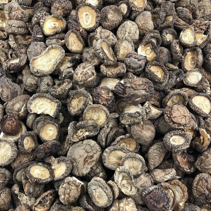 Hongo Shiitake Orgánico a Granel