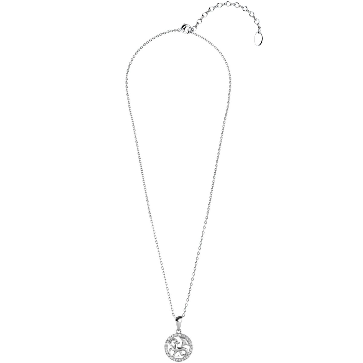 Pendentifs Zodiaque Capricorne - Argenté et Cristal