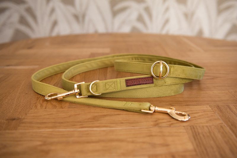 Velvy olivia adjustable leash