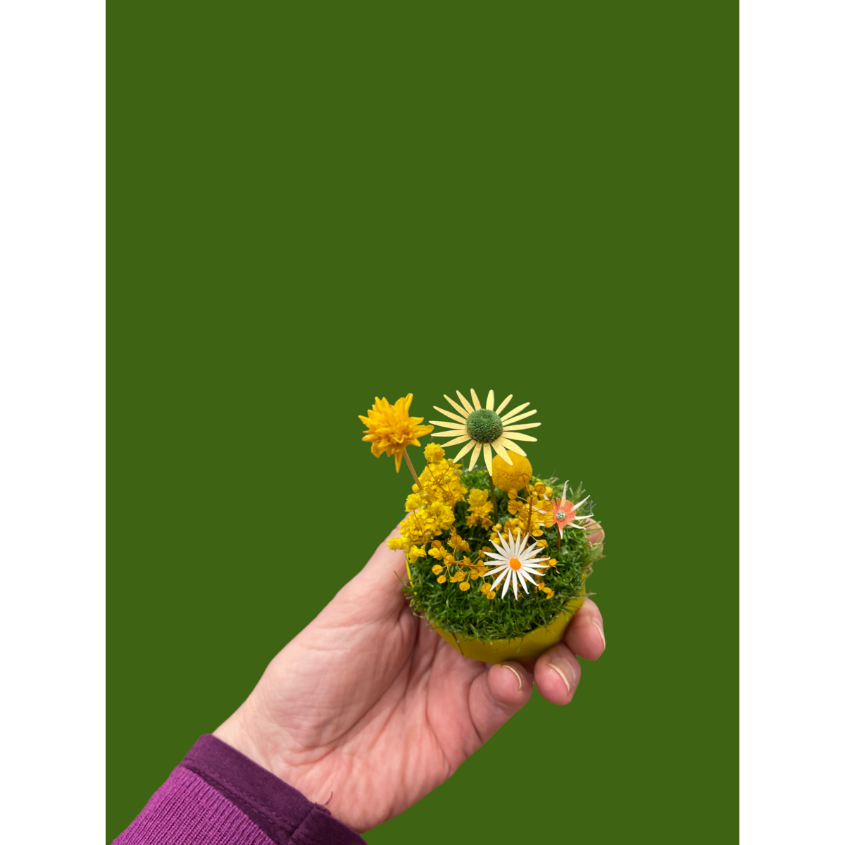 Mini jardín